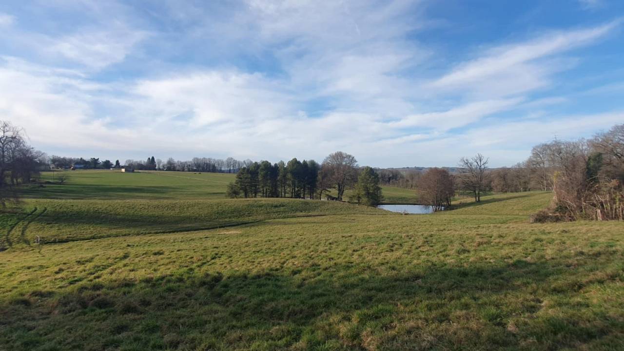 Pensions chevaux - Ecurie Les 3 Saints 19210 