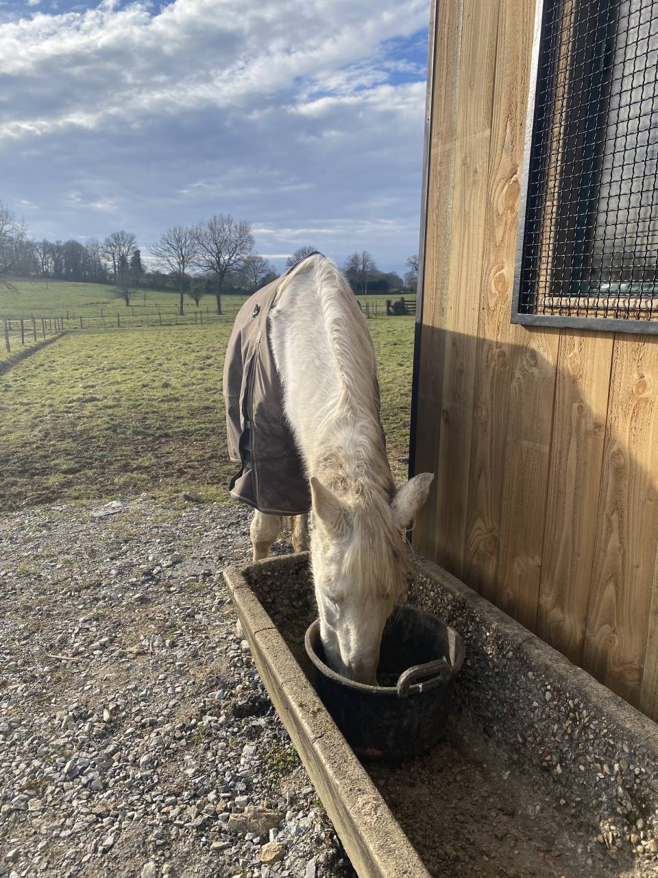 Pensions chevaux - Ecurie Les 3 Saints 19210 