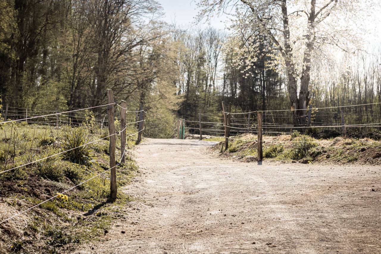 Paddock Paradise - Le Havre d'Imp&eacute;rial 