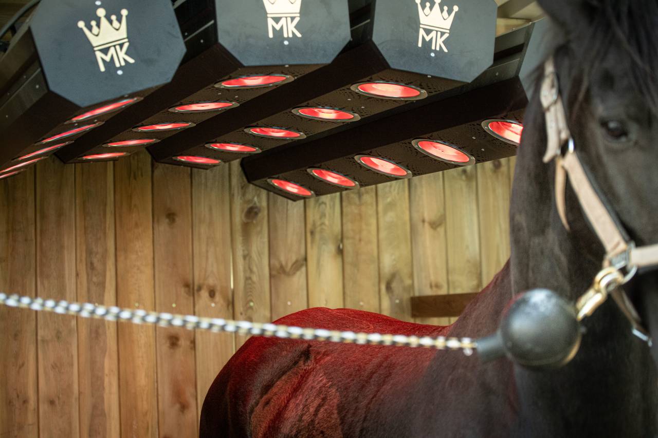 Paddock Paradise - Le Havre d'Imp&eacute;rial 