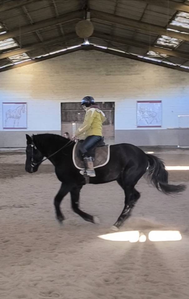 Enseignante et éducatrice équine 