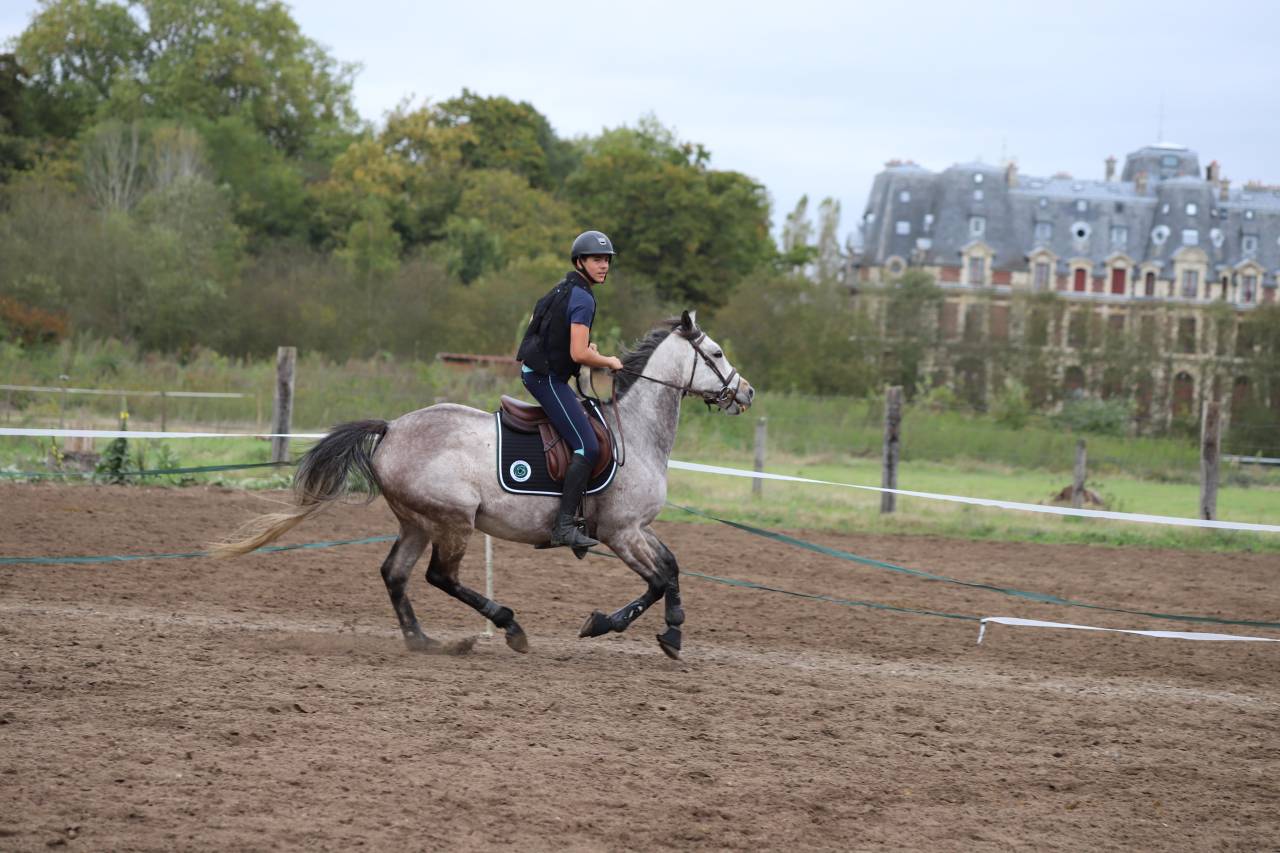 ÉCURIES DU DOMAINE DE VILLETTE