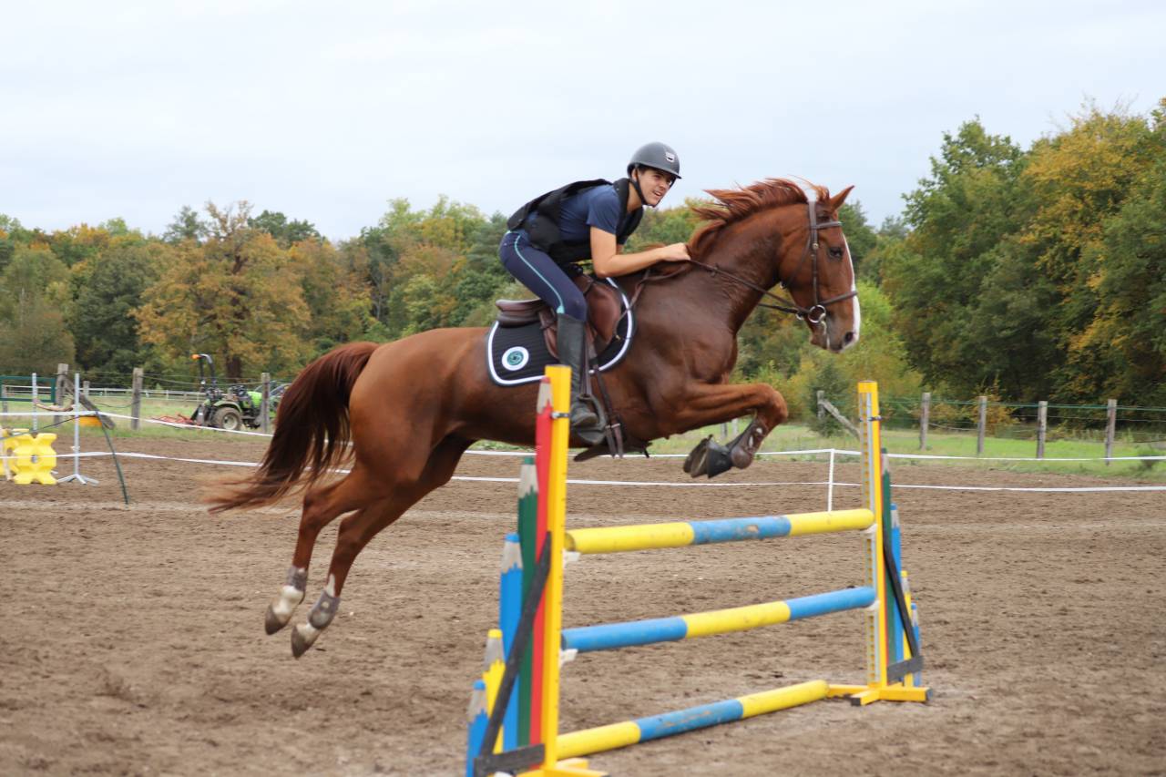 ÉCURIES DU DOMAINE DE VILLETTE