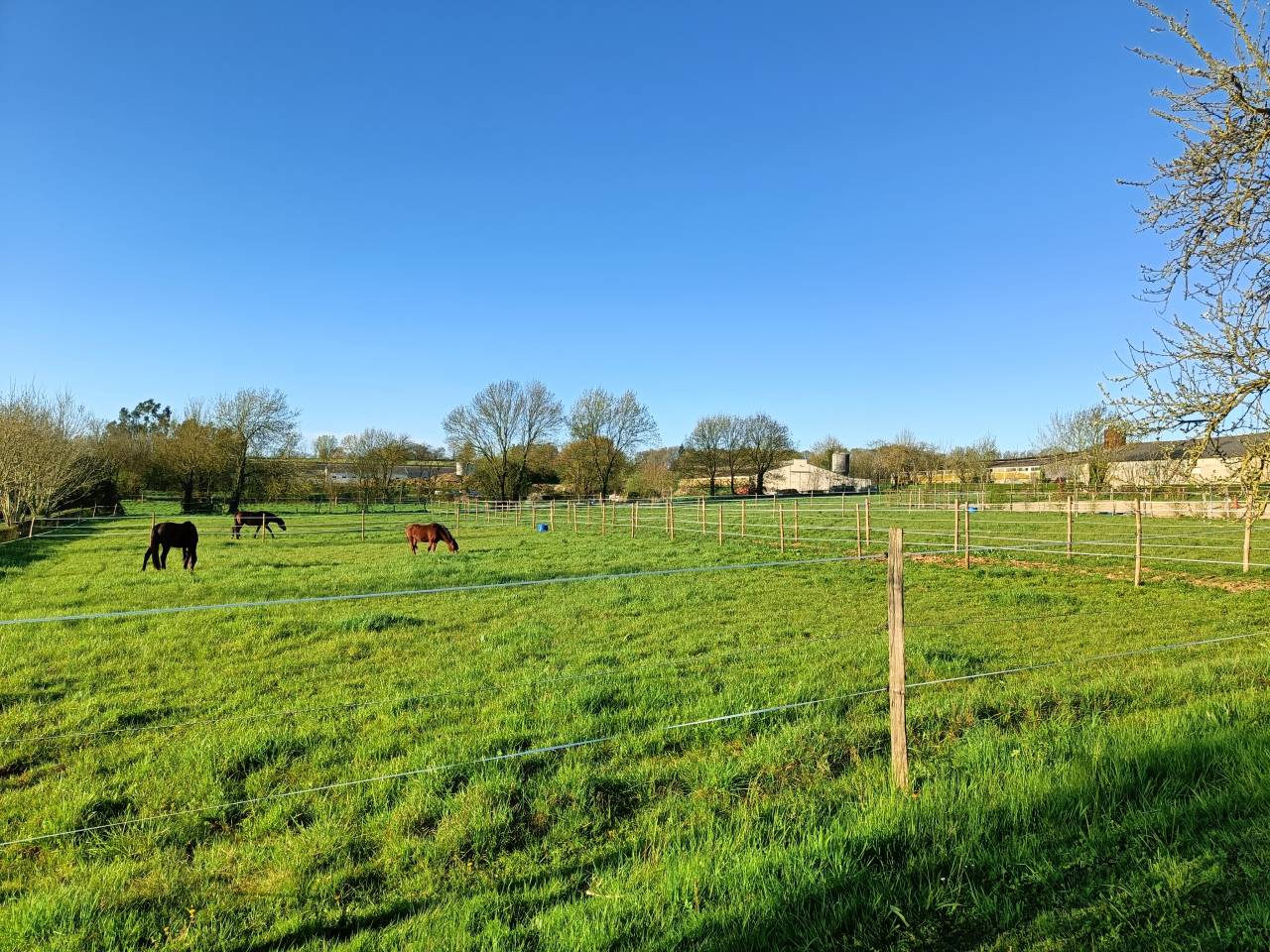 Pension chevaux Vouvant 85