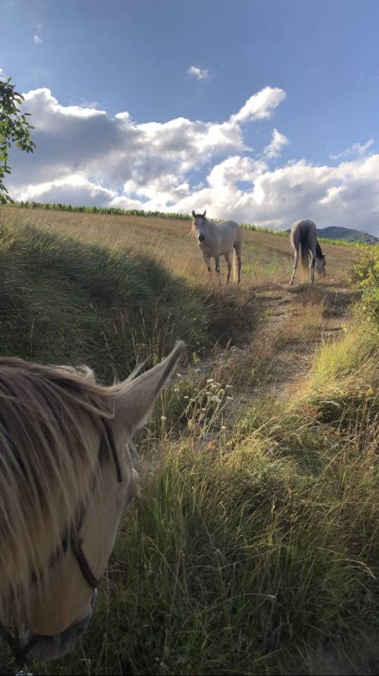 Pension retraite/loisirs