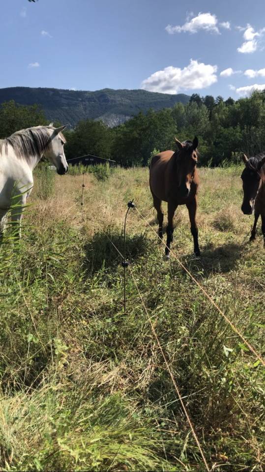 Pension retraite/loisirs