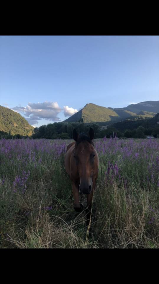 Pension retraite/loisirs