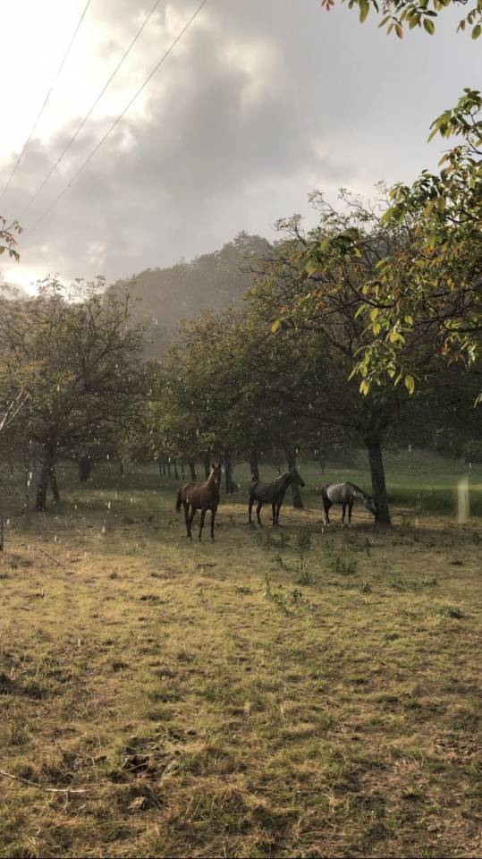 Pension retraite/loisirs