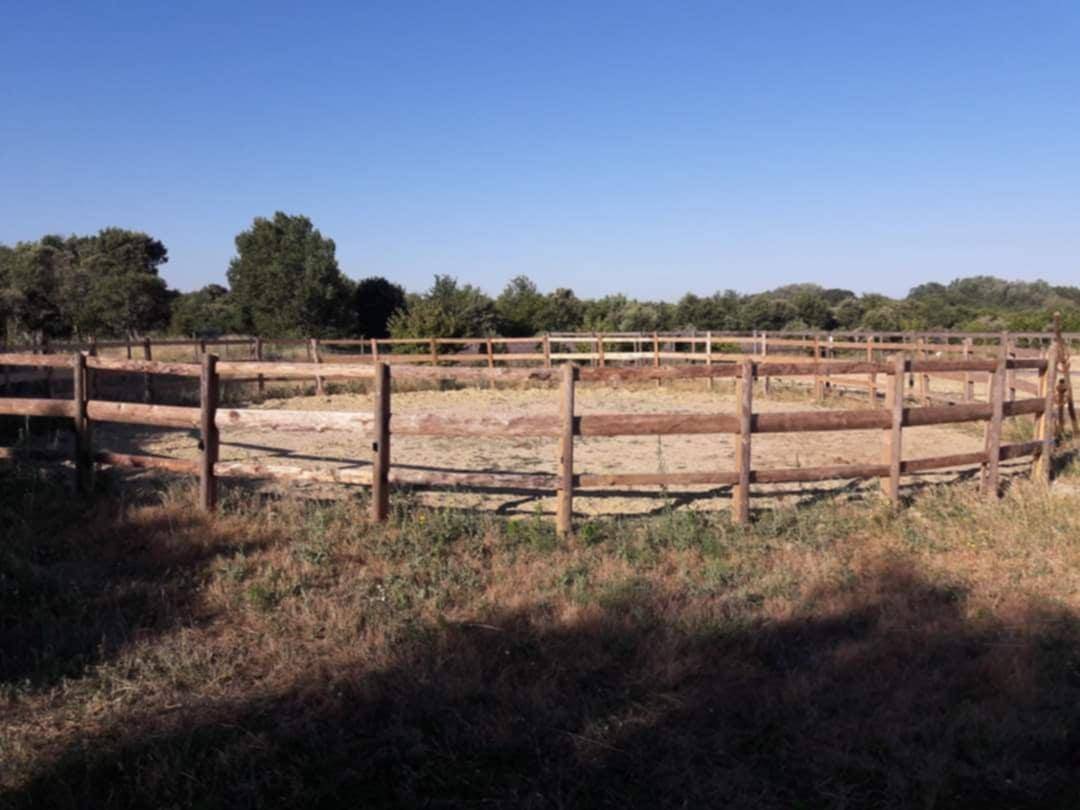 &Eacute;curie C&R - Pension Chevaux Poneys