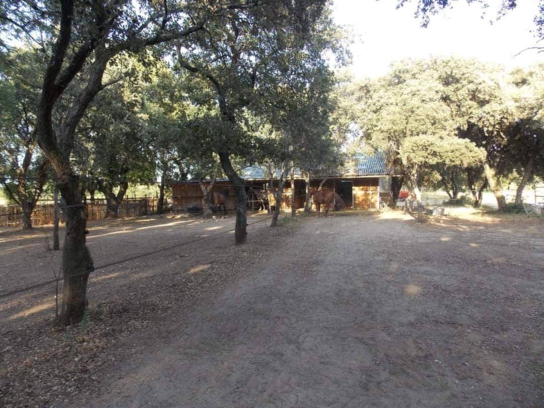 &Eacute;curie C&R - Pension Chevaux Poneys