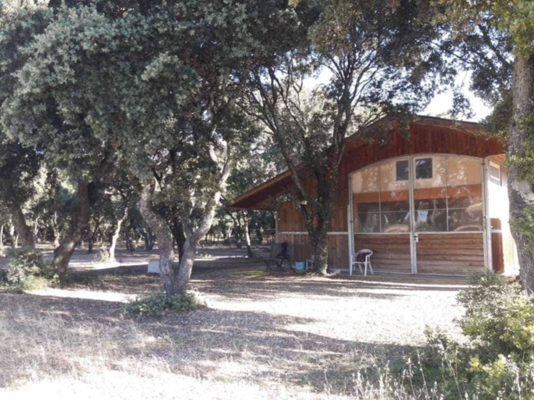 &Eacute;curie C&R - Pension Chevaux Poneys