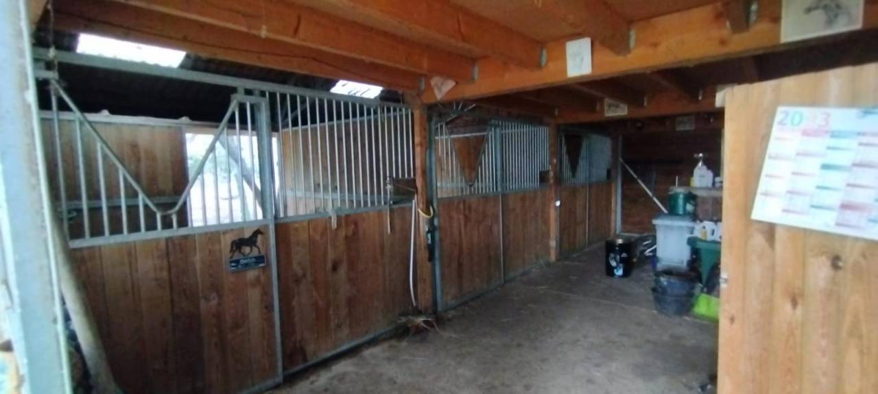 &Eacute;curie C&R - Pension Chevaux Poneys