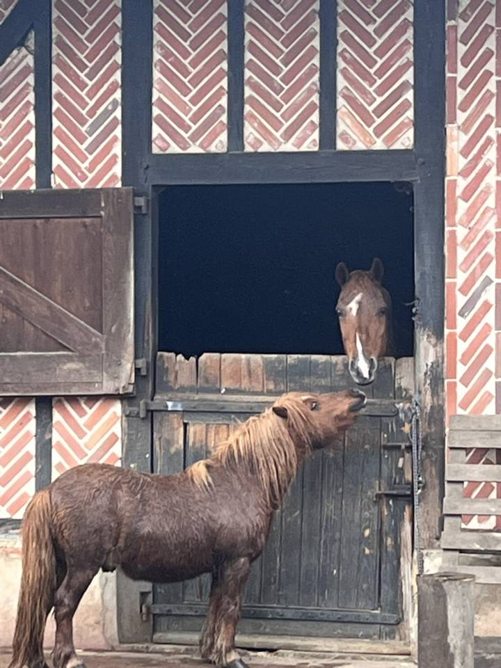 Ecurie privée Labrit - Mont de marsan