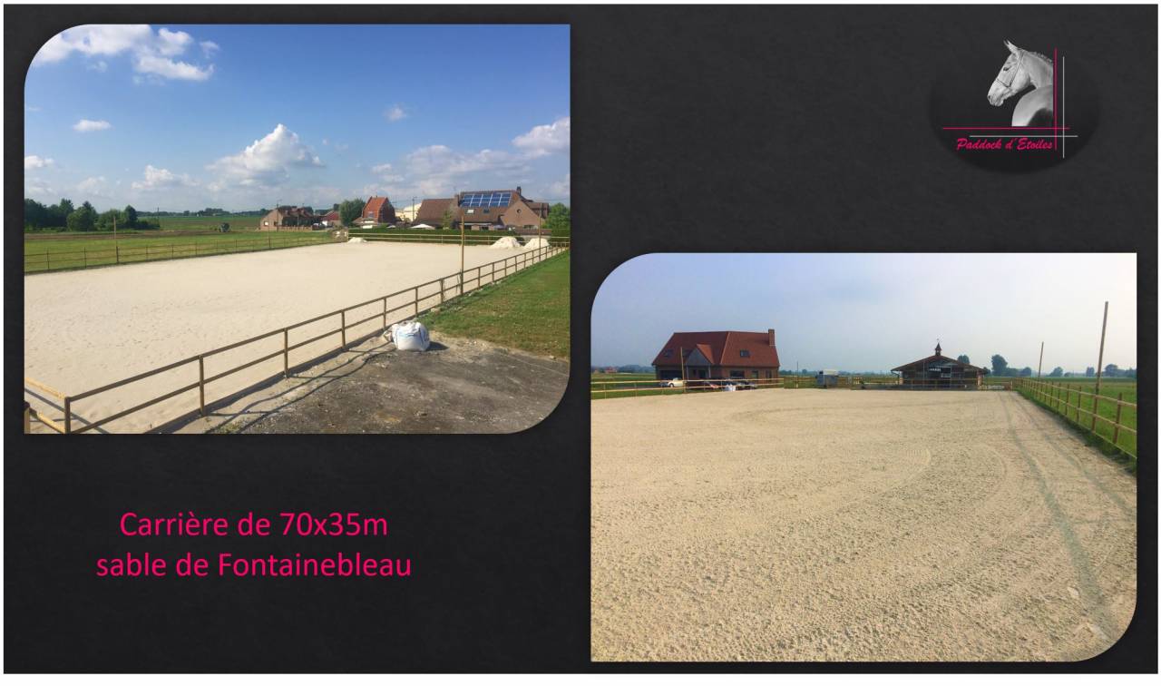 pensions chevaux Hauts de France