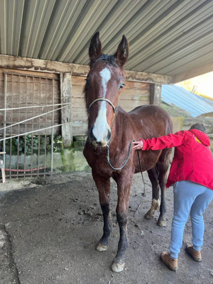 Onyx des arques sf par Victor Hugo 