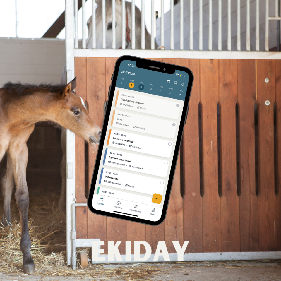 L’appli qui remet la nutrition au coeur du quotidien