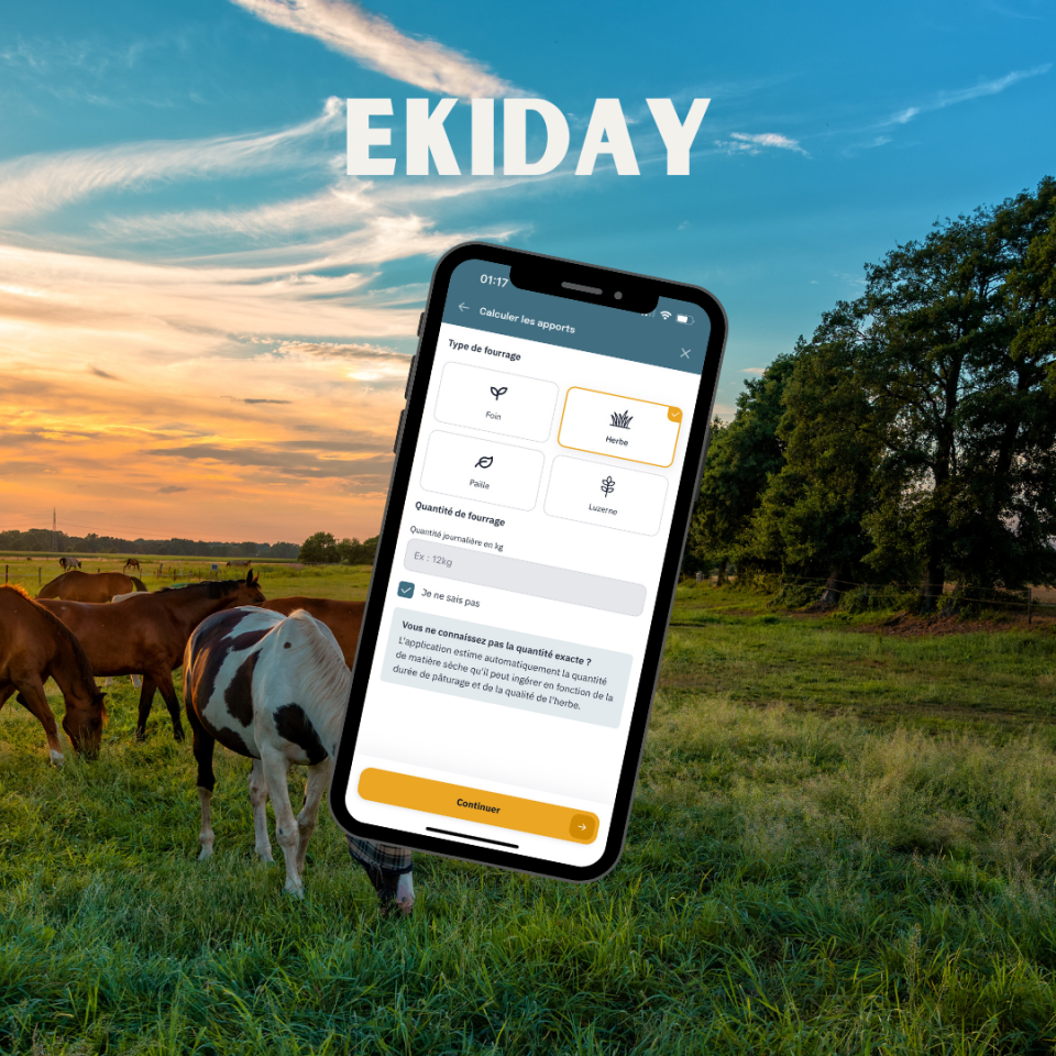 L’appli qui remet la nutrition au coeur du quotidien