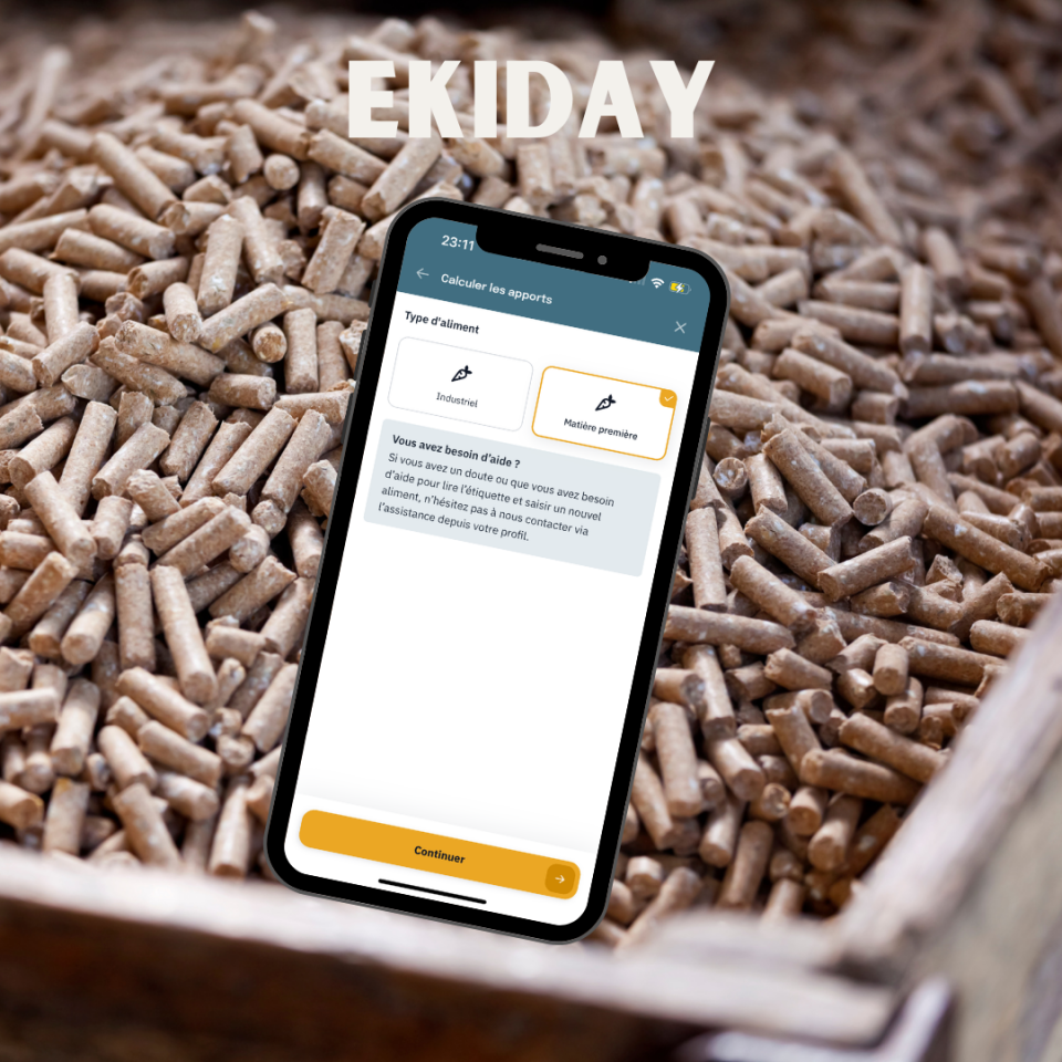 L’appli qui remet la nutrition au coeur du quotidien