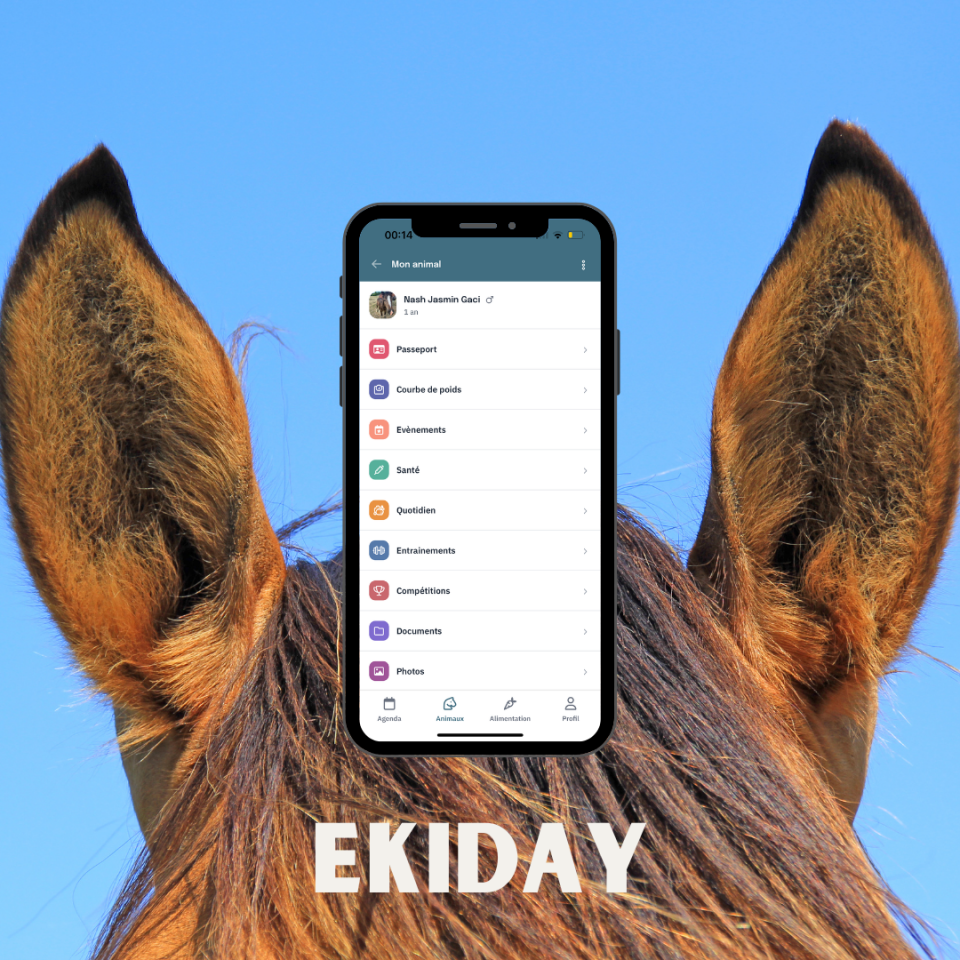 L’appli qui remet la nutrition au coeur du quotidien