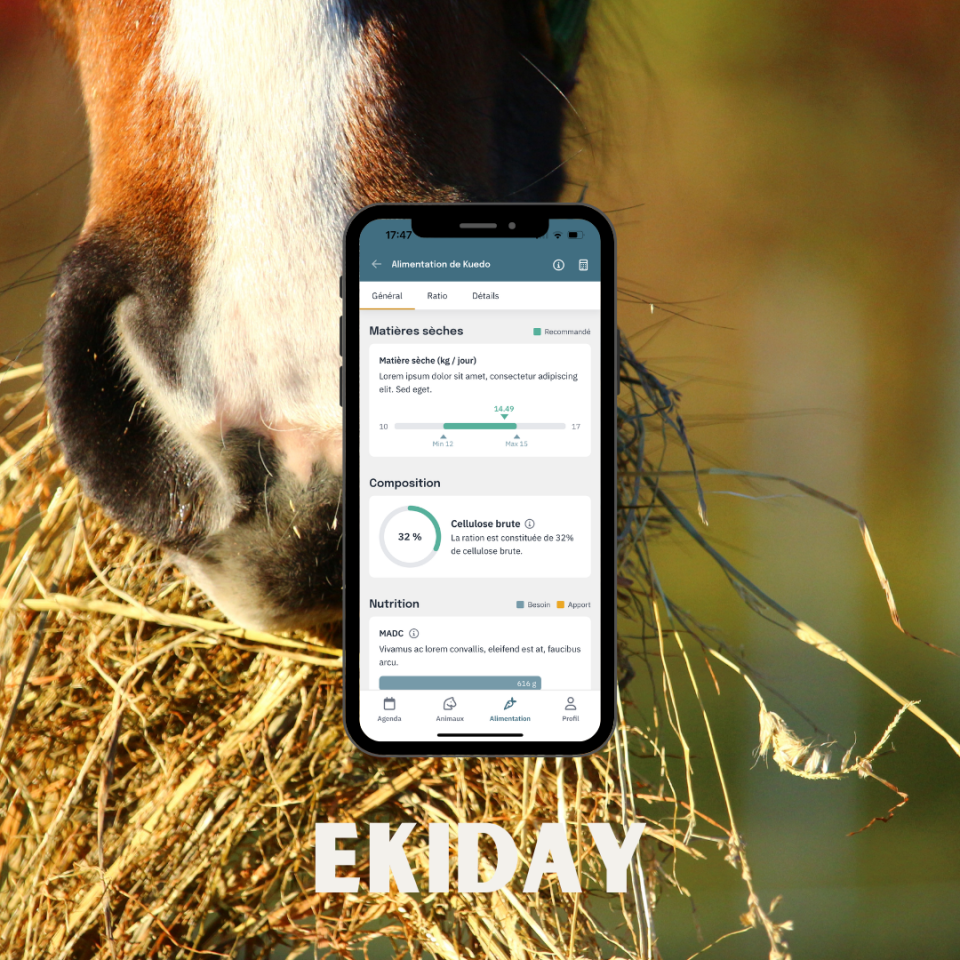 L’appli qui remet la nutrition au coeur du quotidien