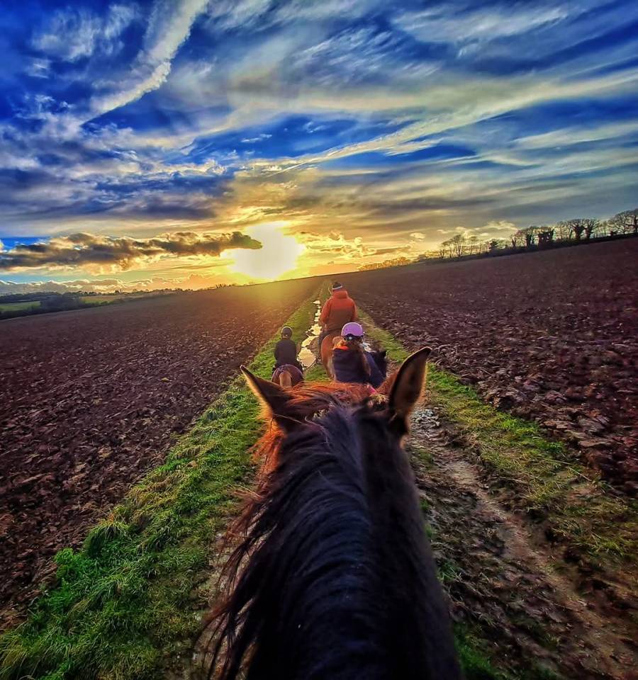 Les ecuries de guignemicourt 80540