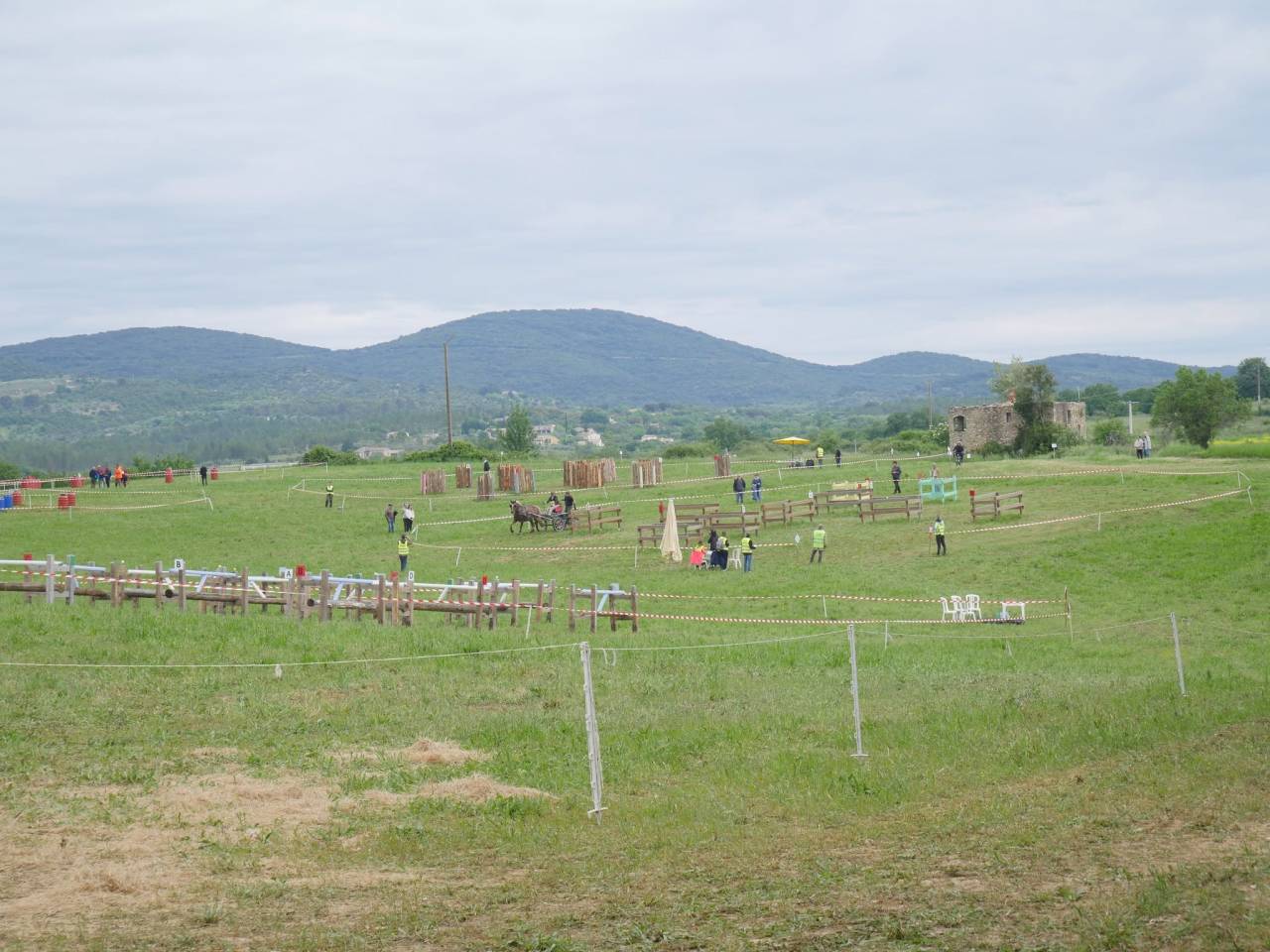 Ecurie de propri&eacute;taires