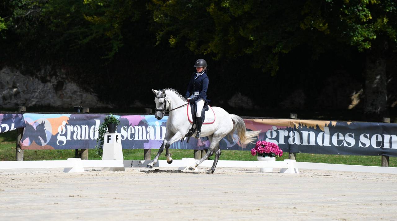 Jument Connemara 7 ans 