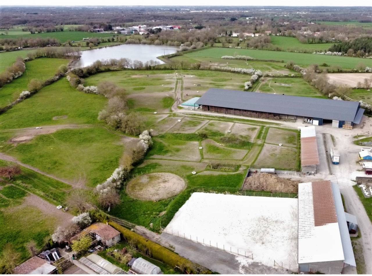 ecurie de propriétaire/ concours / élevage sur 140 Ha
