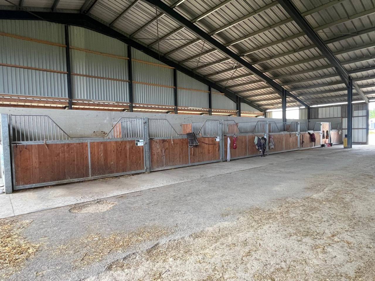 ecurie de propriétaire/ concours / élevage sur 140 Ha
