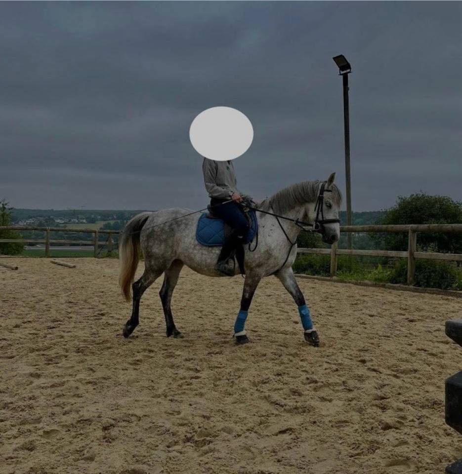 Chouette ponette☘️