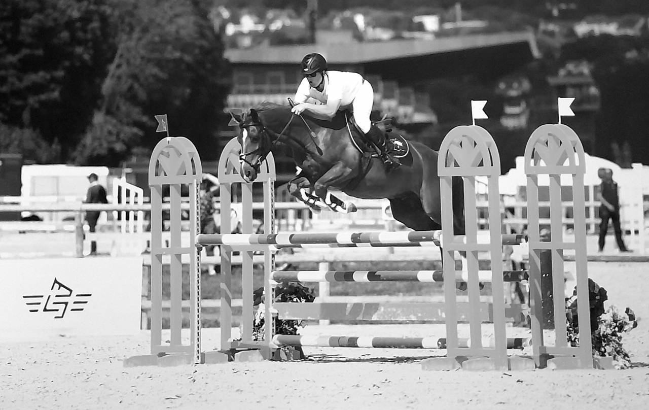 Opportunit&eacute; partenariat 