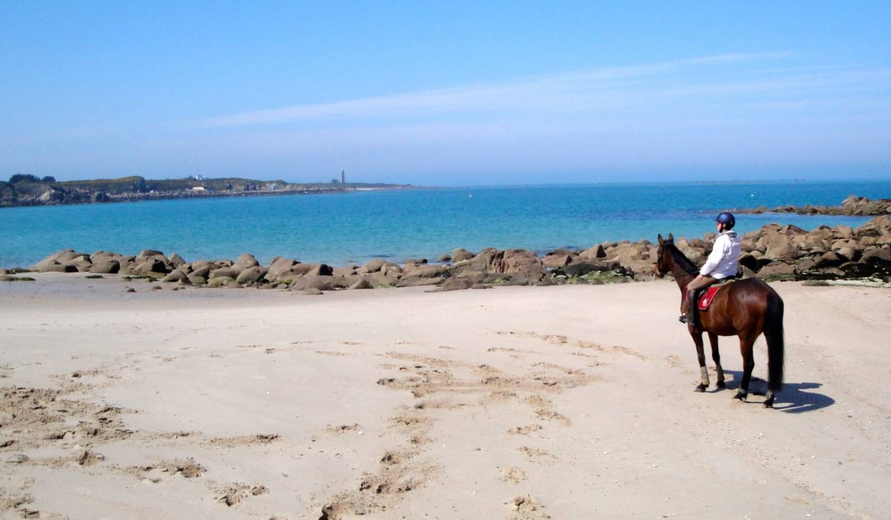 Pension chevaux en bord de mer