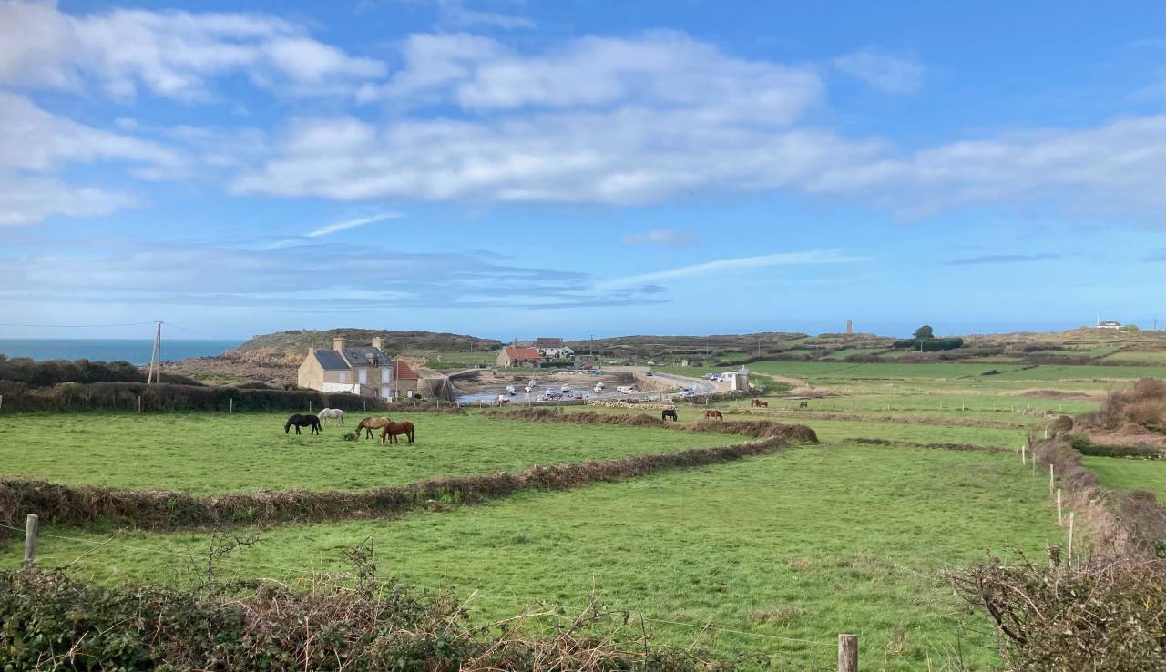 Pension chevaux en bord de mer