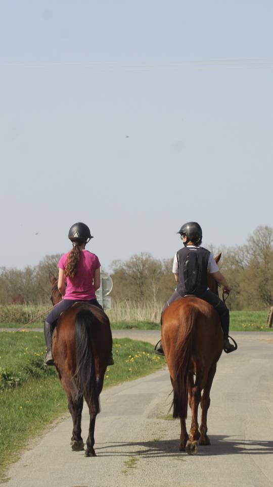 Pension - &Eacute;curie de FLY
