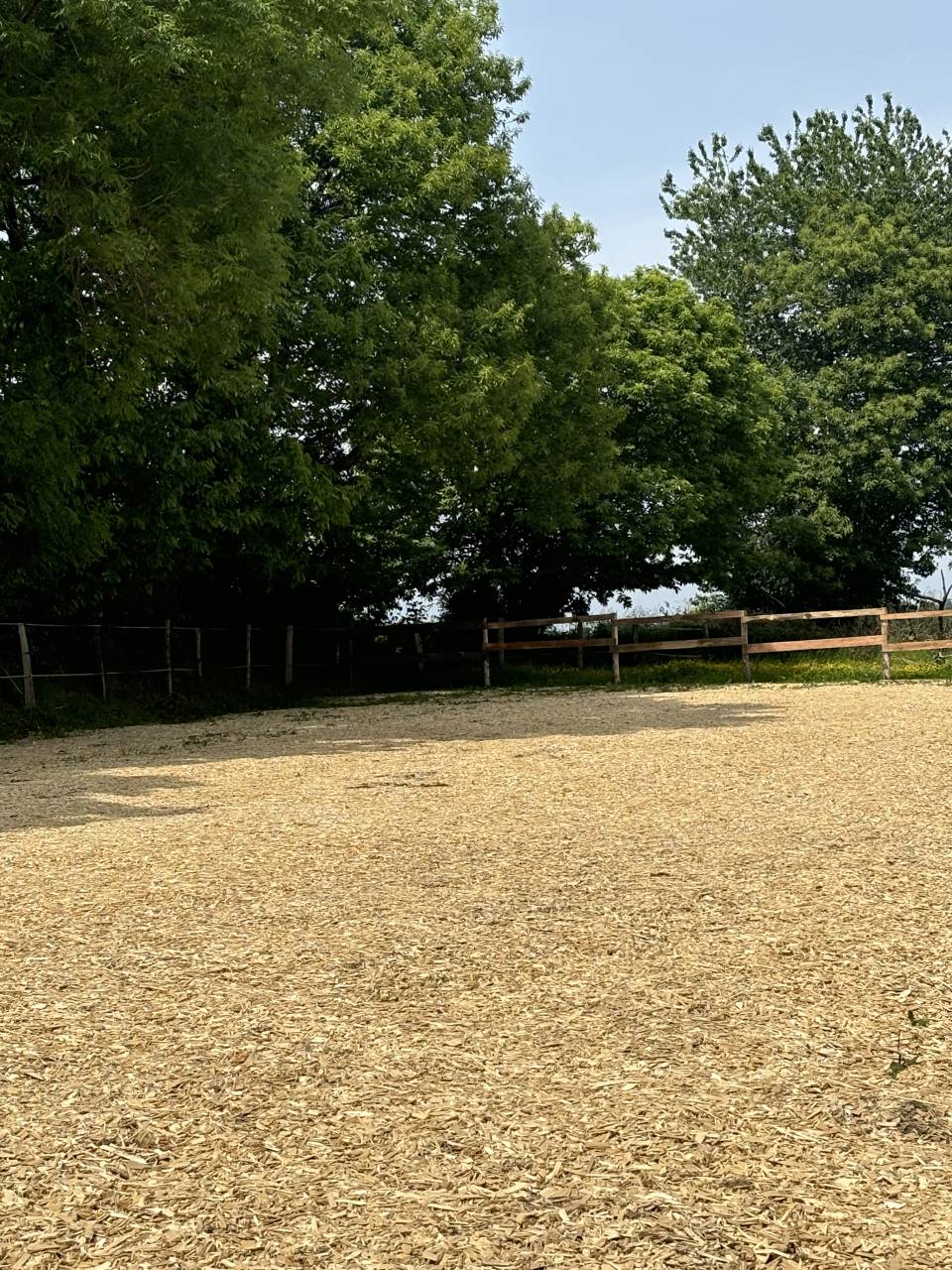 Pension - &Eacute;curie de FLY