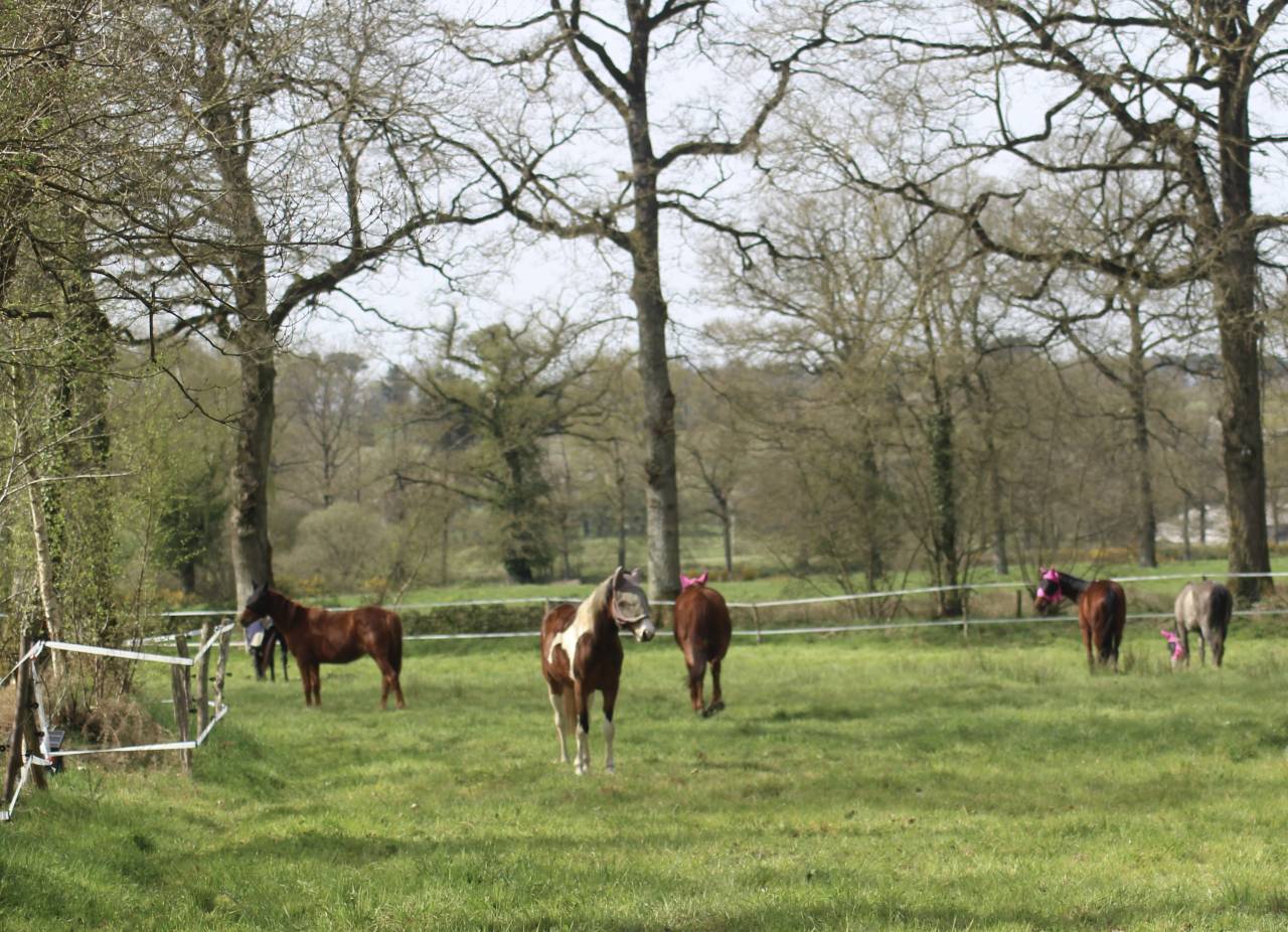 Pension - &Eacute;curie de FLY