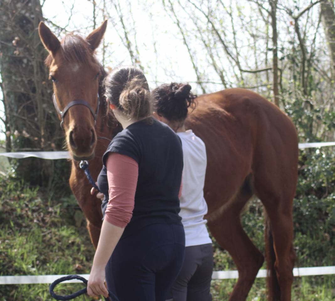 Pension - &Eacute;curie de FLY