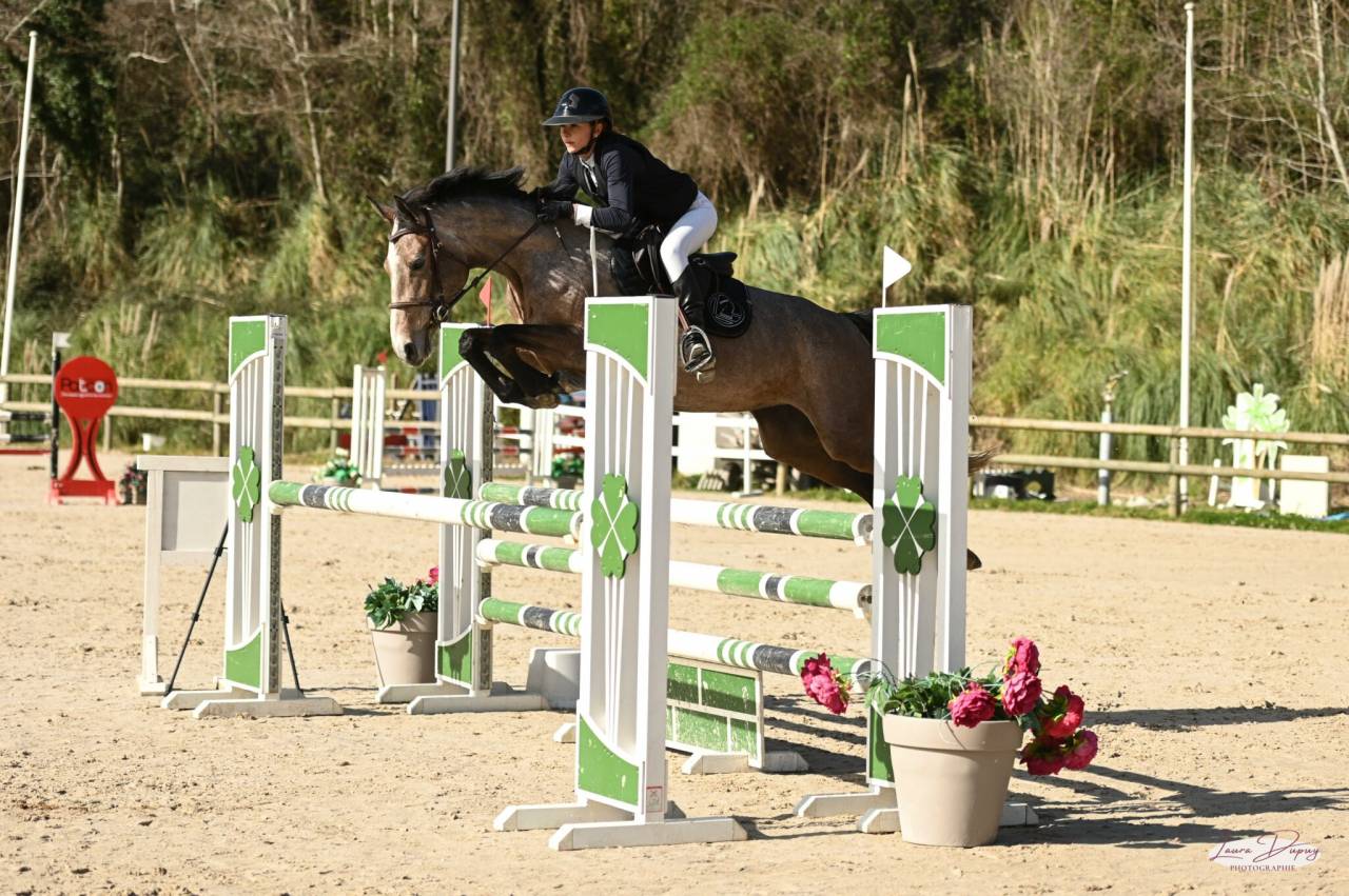 Top jument pour CSO amateur