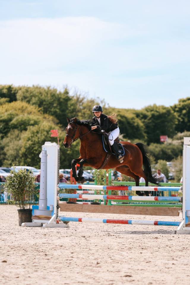 Super petit cheval polyvalent