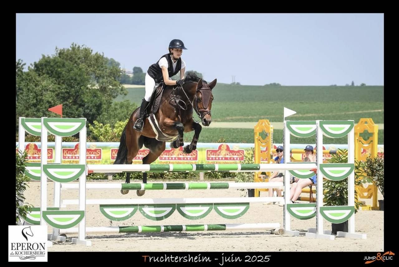 Jument de 6 ans par Cornet Obolensky