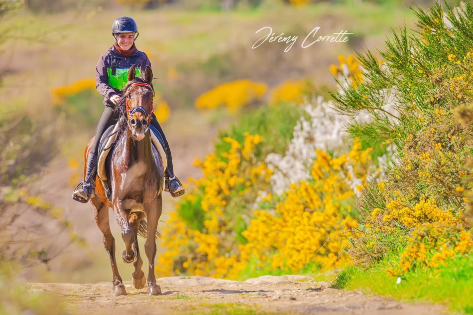 Pension pr&eacute; / travail - entra&icirc;nement d'endurance 29440 Plougar