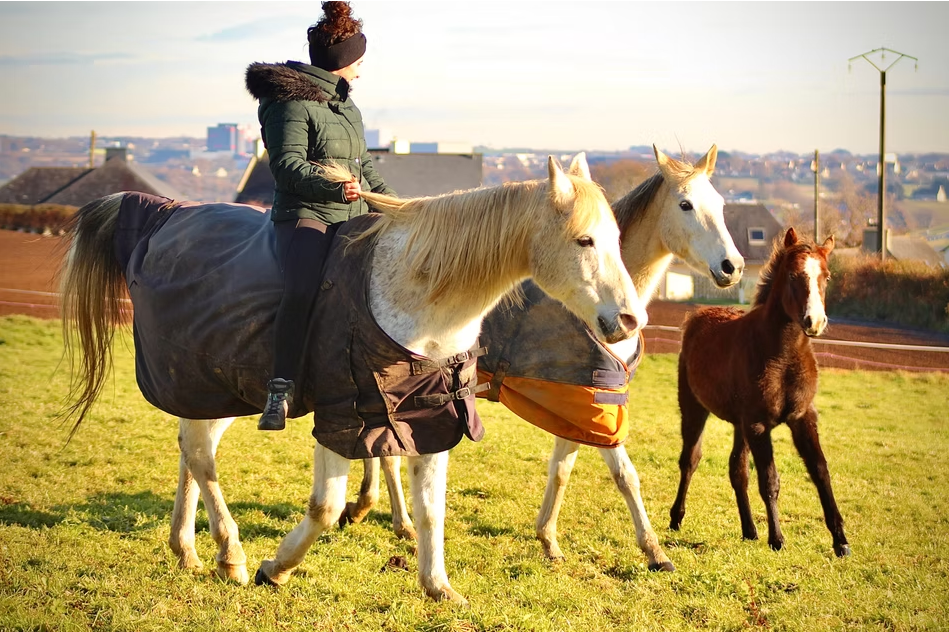 Pension pr&eacute; / travail - entra&icirc;nement d'endurance 29440 Plougar
