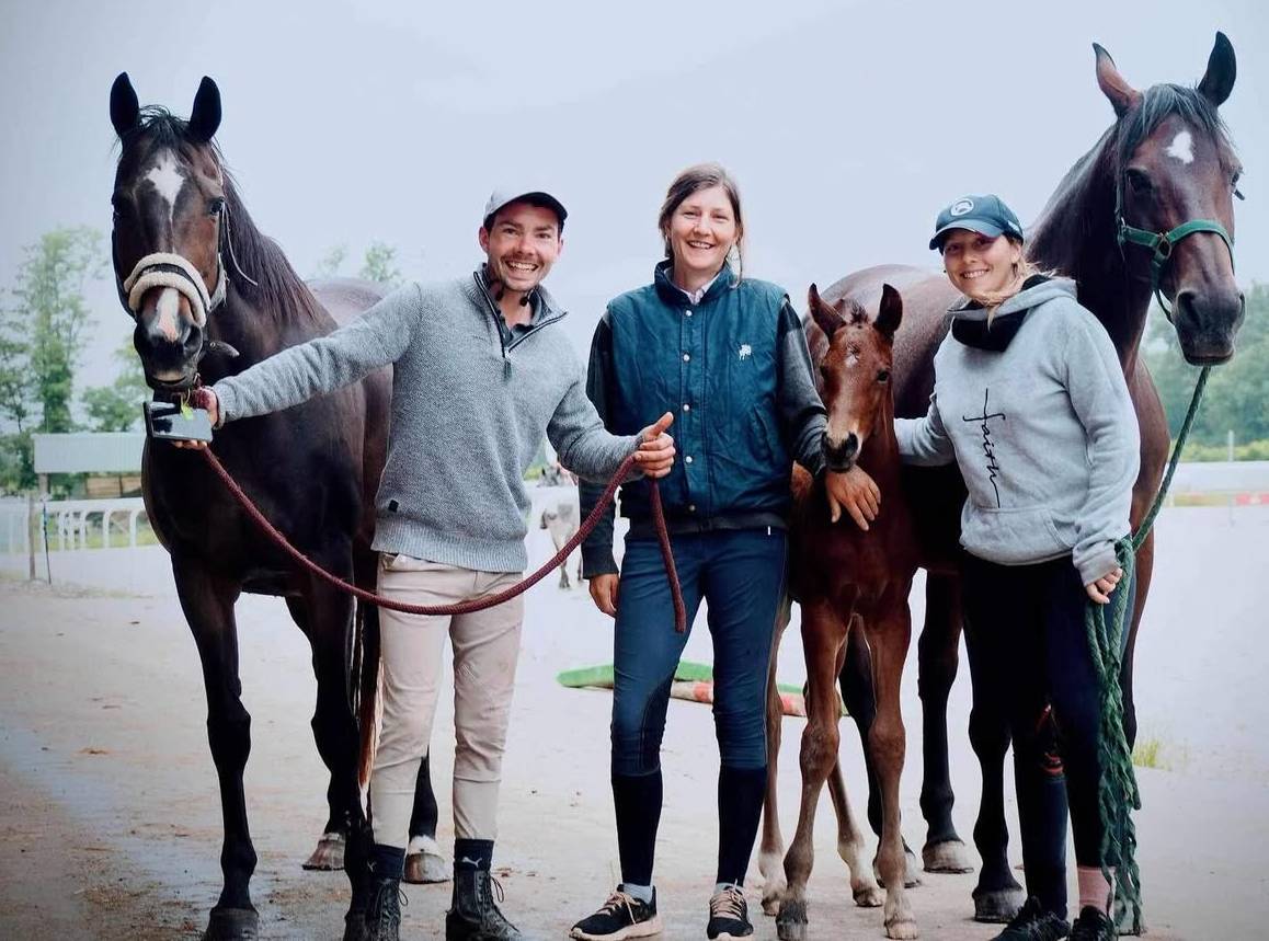 Palefrenier / Soigneur 