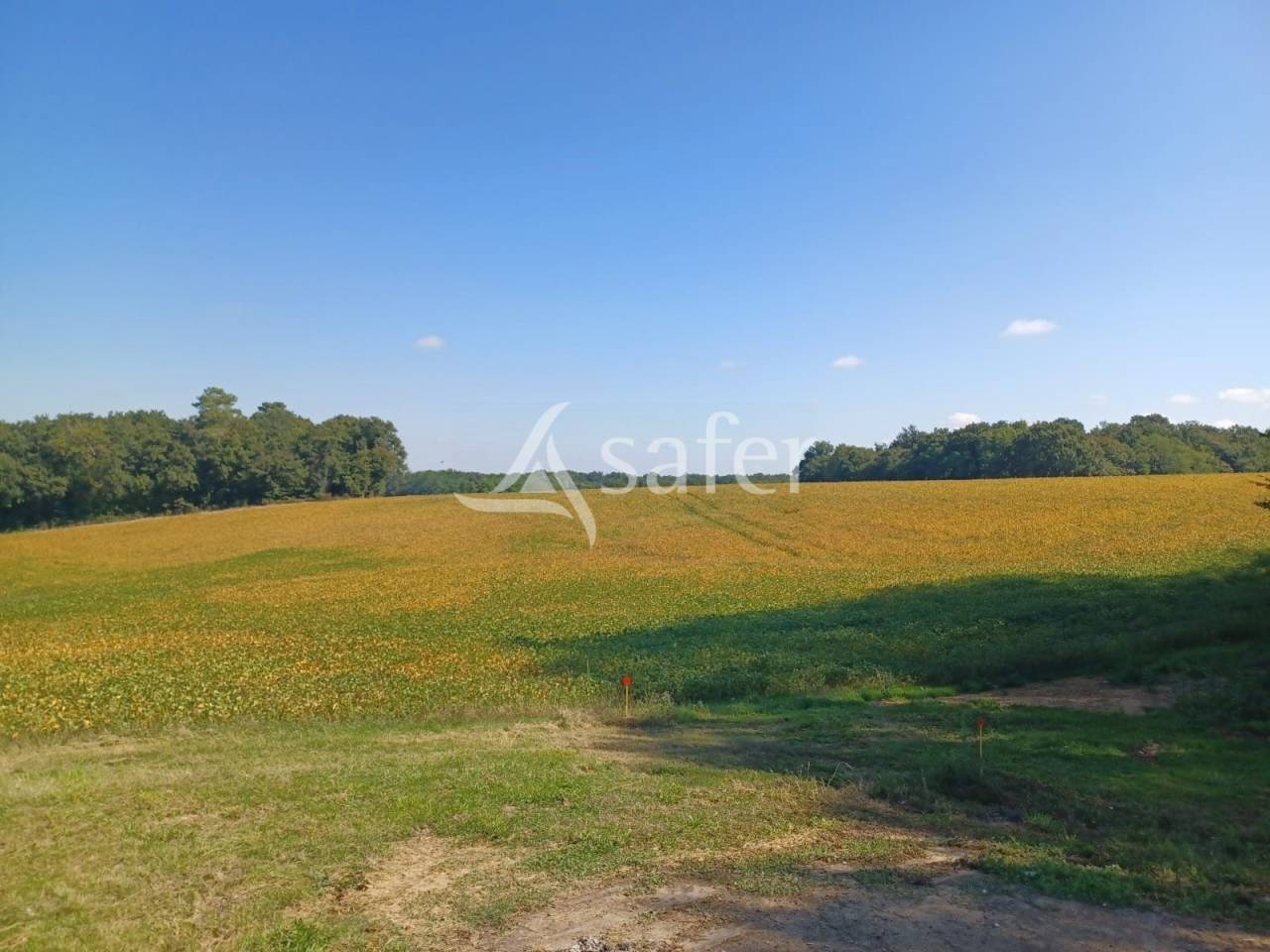 Propri&eacute;t&eacute; agricole sur 25ha