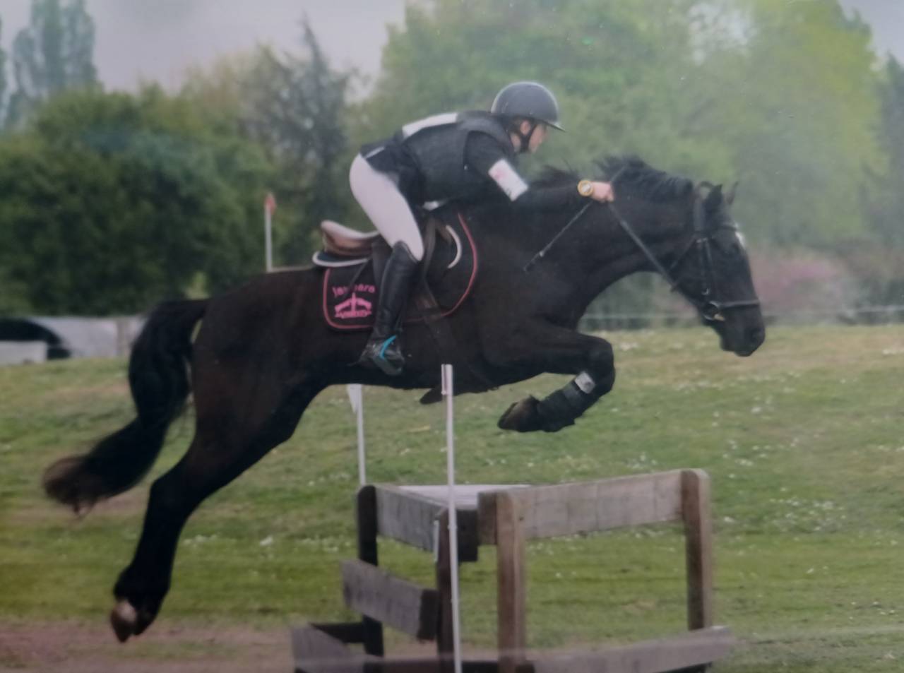 Poney pfs 6ans pour cce