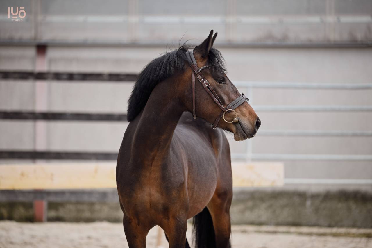 3 ans à vendre 