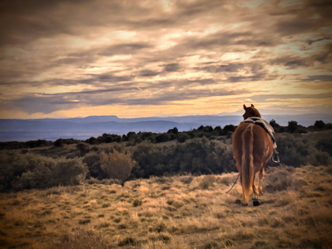 Estive confortable en Montagne Noire