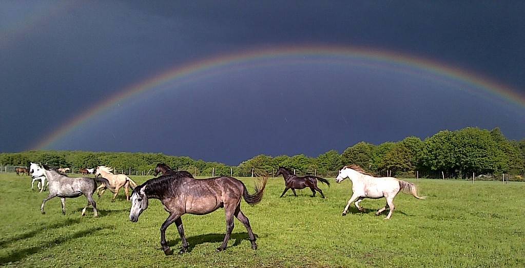 Estive confortable en Montagne Noire