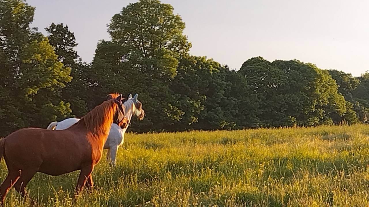 Estive confortable en Montagne Noire