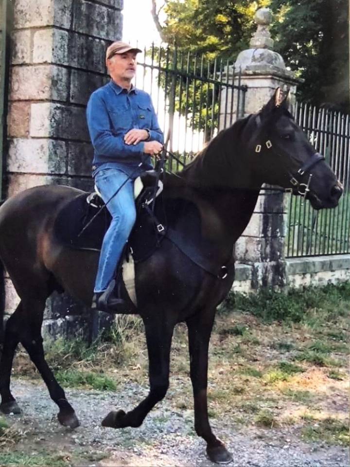 HONGRE LUSITANIEN POUR LOISIR
